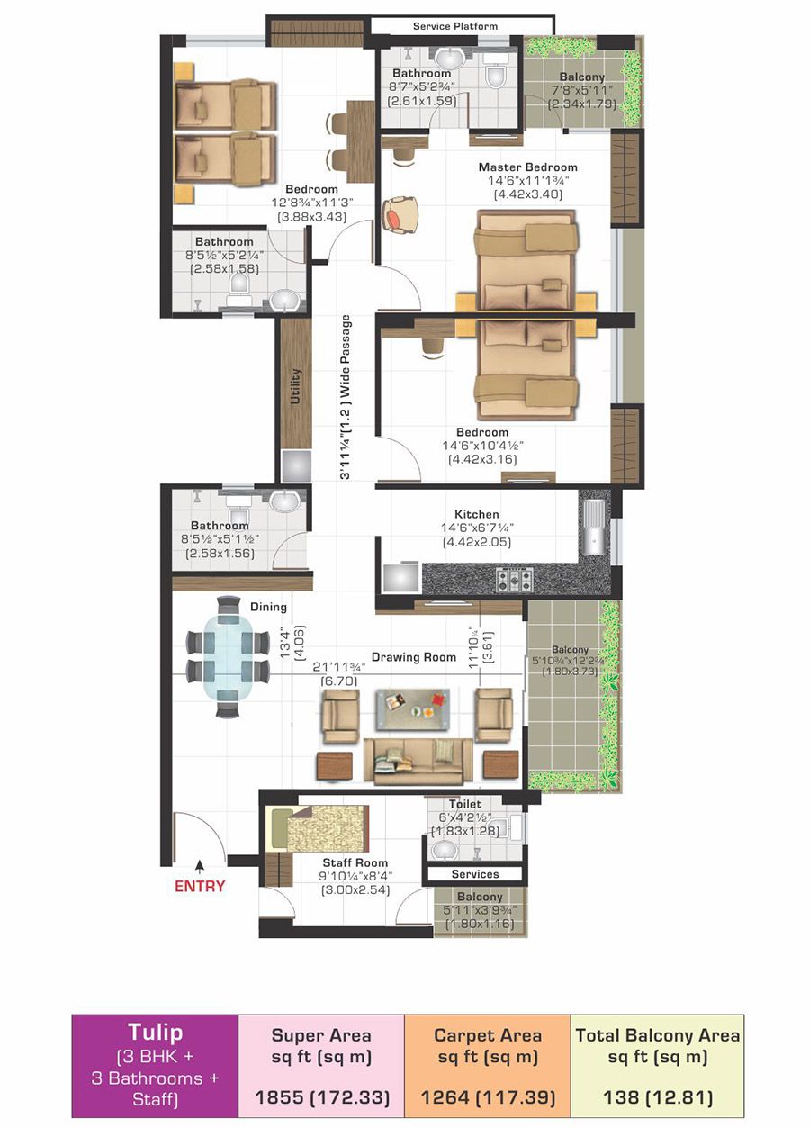 Tulip (3BHK + Staff)