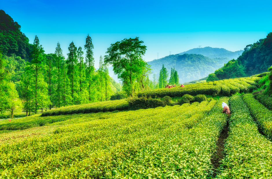 Top 10 Child-Friendly Holiday Destinations in India