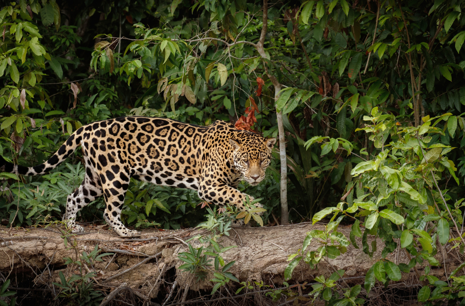 Top 10 Child-Friendly Holiday Destinations in India