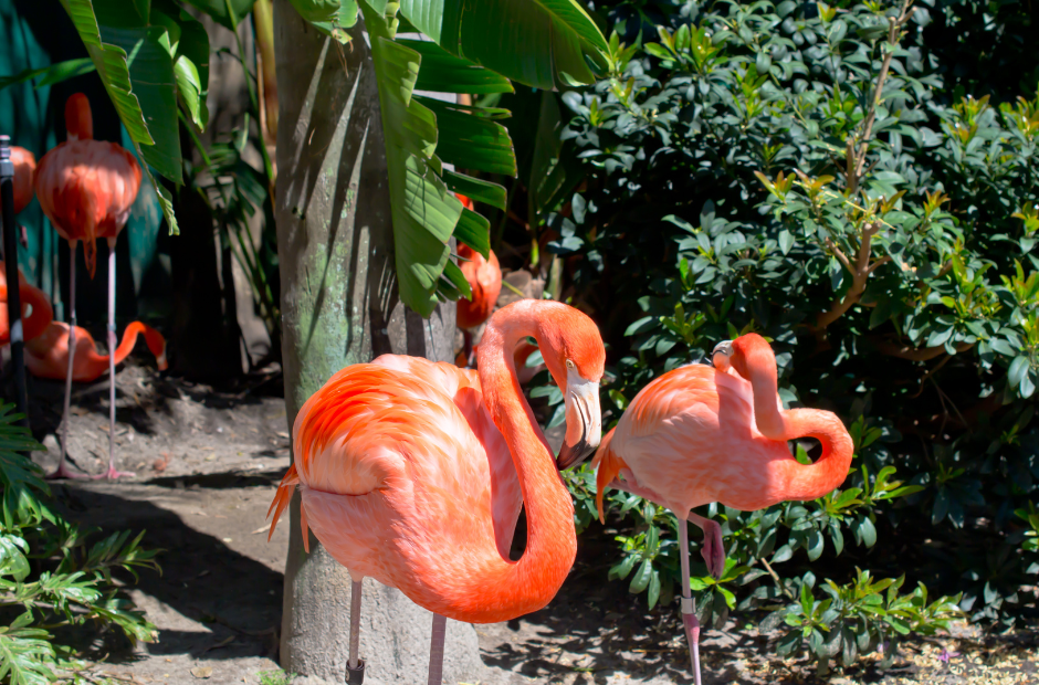 Top 10 Child-Friendly Holiday Destinations Abroad