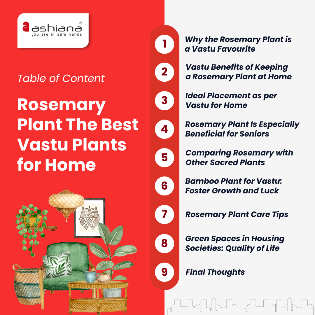 Rosemary Plant The Best Vastu Plants for Home