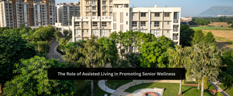 The Role of Assisted Living in Promoting Senior Wellness