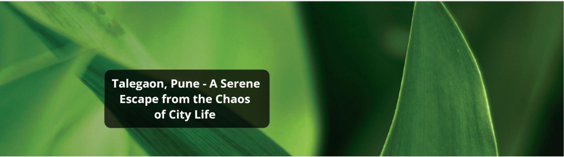 Talegaon, Pune – A Serene Escape from the Chaos of City Life