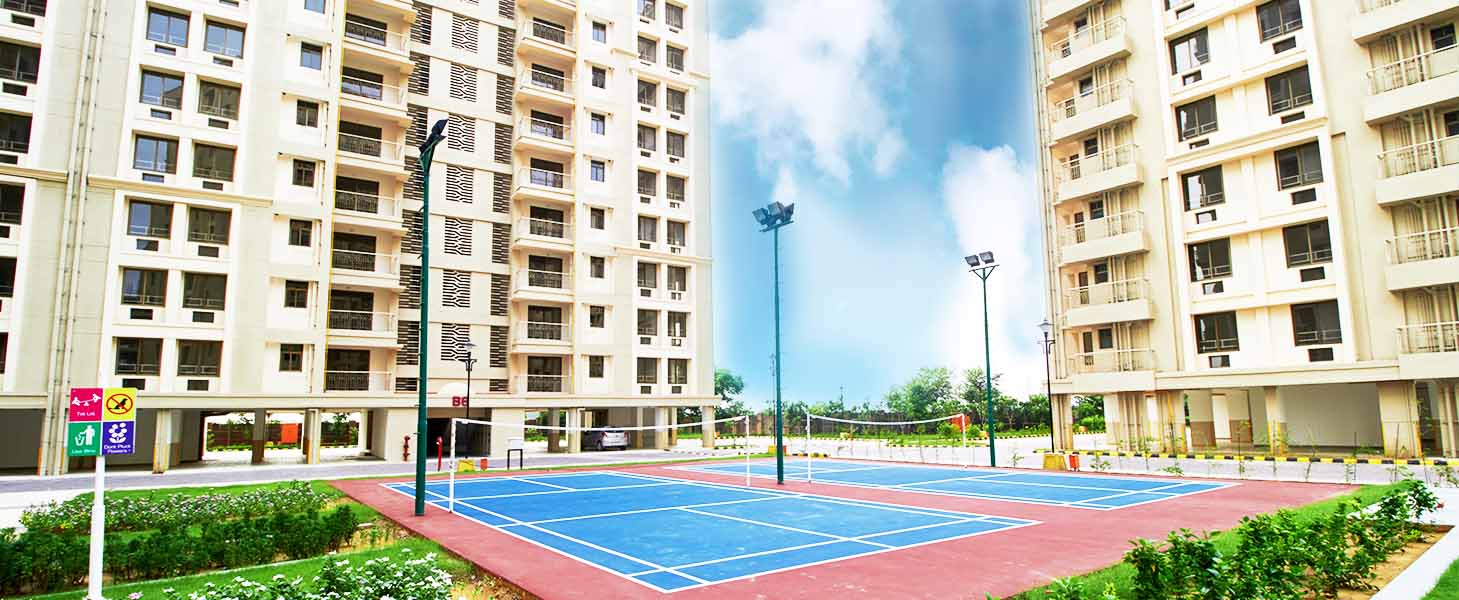 air-conditioned gym